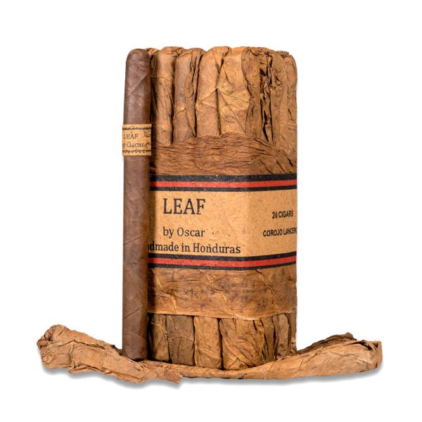 Leaf by Oscar Lancero Corojo